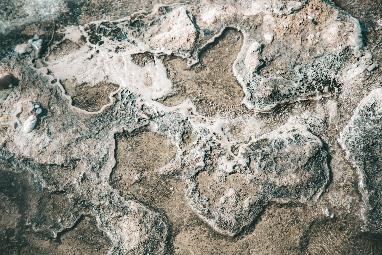 mission-02 Close-up of textured rocks with white calcium deposits, showcasing natural erosion patterns.